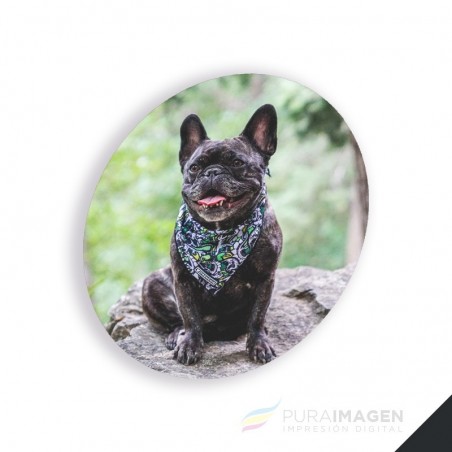 Panel para Foto HD - Círculo 19cm