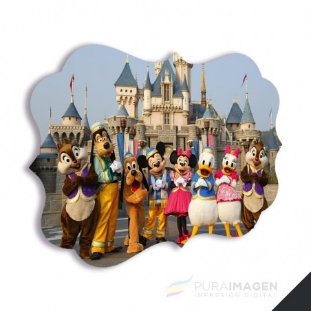 Panel para Foto HD - Banelux 18x13